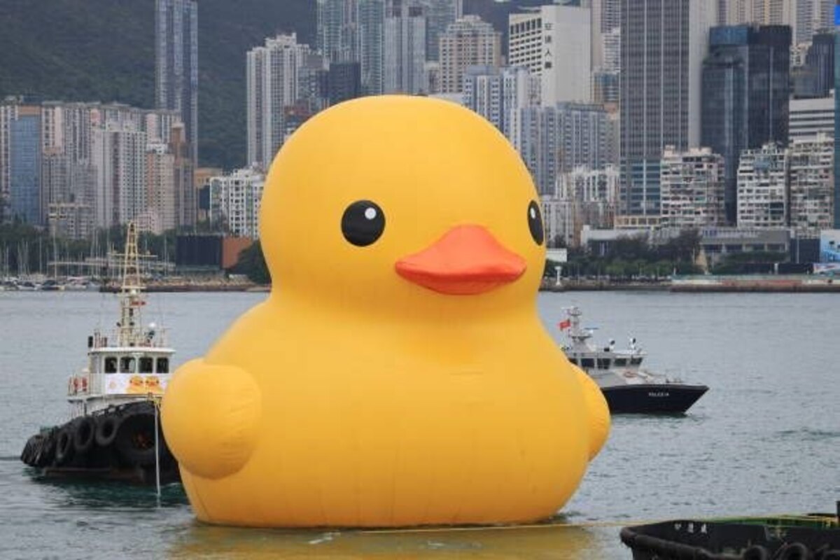 Giant rubber duck